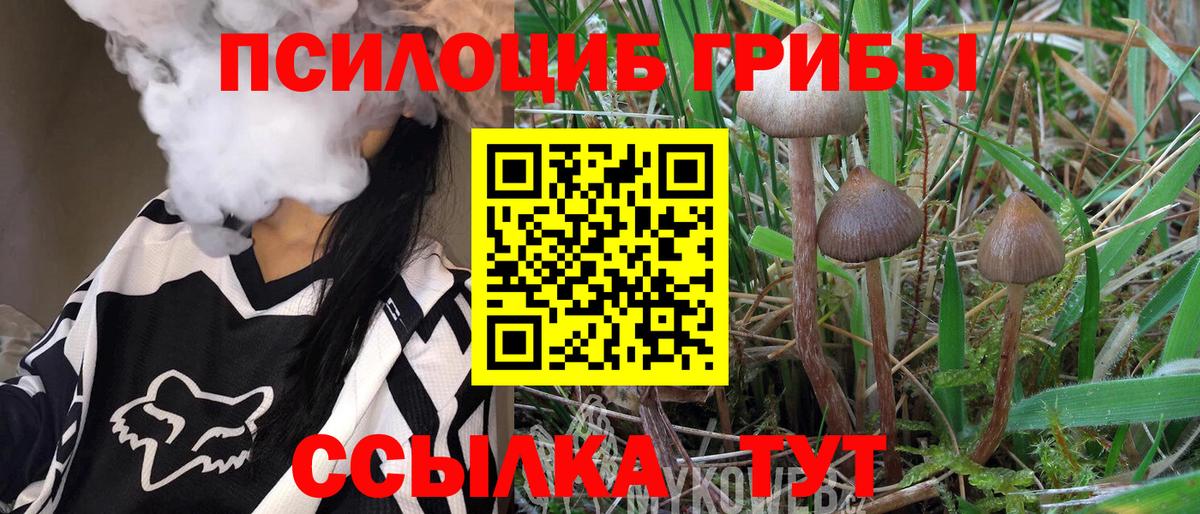 как найти закладки  Вход с VPN  Маркс  Галлюциногенные грибы ЛСД 