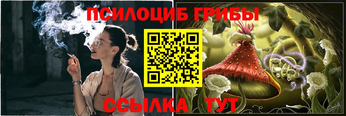 Псилоцибиновые грибы мицелий Маркс